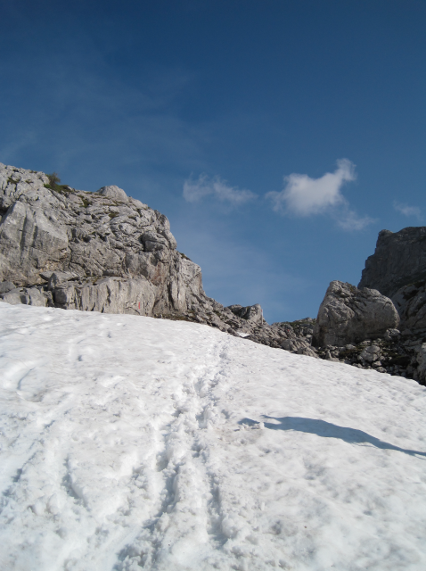 Schneefeld